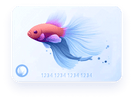Betta Fish ID -> What you see, you get. - Nano Tanks Australia