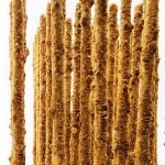 SAS SHRIMP PROBIOTICS POPS Pack of 10 - Nano Tanks Australia