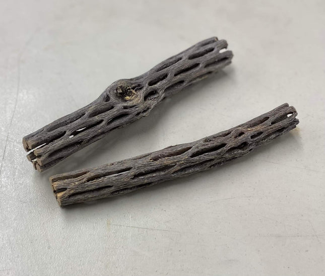 Cholla Wood 15cm - Nano Tanks Australia Aquarium Shop