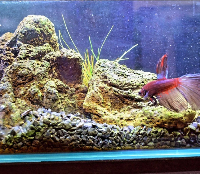 High Quality Black Lava Rock per kg - Nano Tanks Australia Aquarium Shop