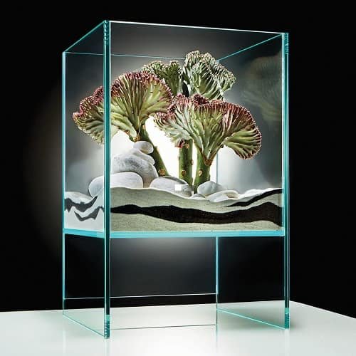 KOMODA SKYCLEAR 'RISE' TERRARIUM - Nano Tanks Australia Aquarium Shop
