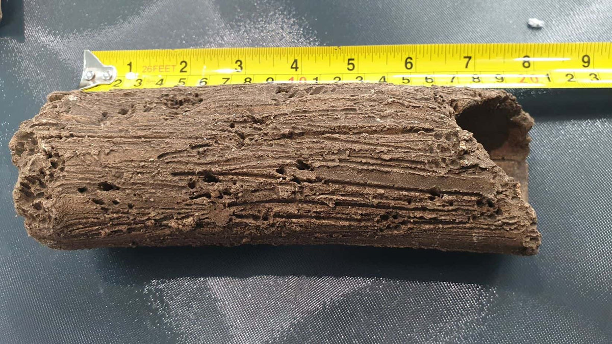 Pleco Caves Large Nano Tanks Australia Aquarium Shop