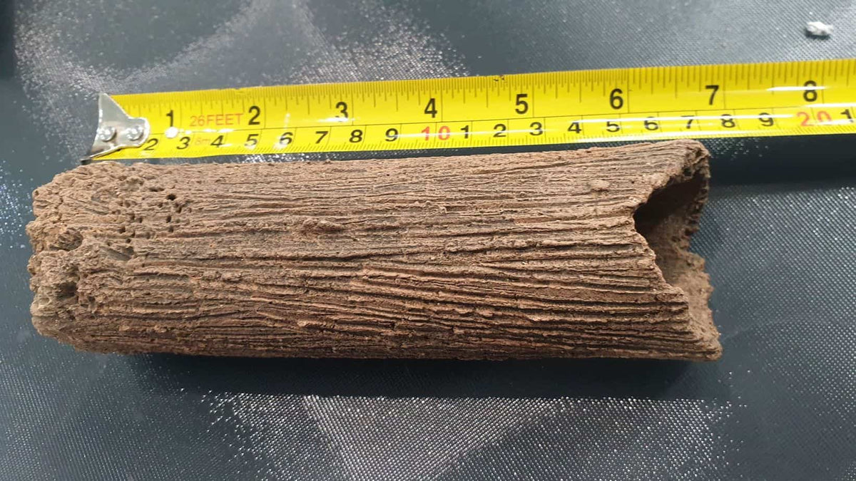 Pleco Caves Medium Nano Tanks Australia Aquarium Shop