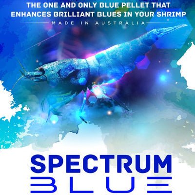 SAS SPECTRUM BLUE 30g - Nano Tanks Australia Aquarium Shop