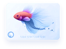 Betta Fish ID -> What you see, you get. - Nano Tanks Australia