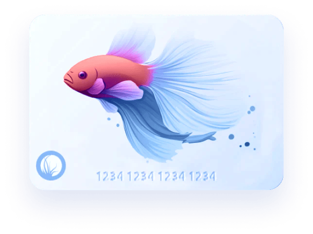 Betta Fish ID -> What you see, you get. - Nano Tanks Australia