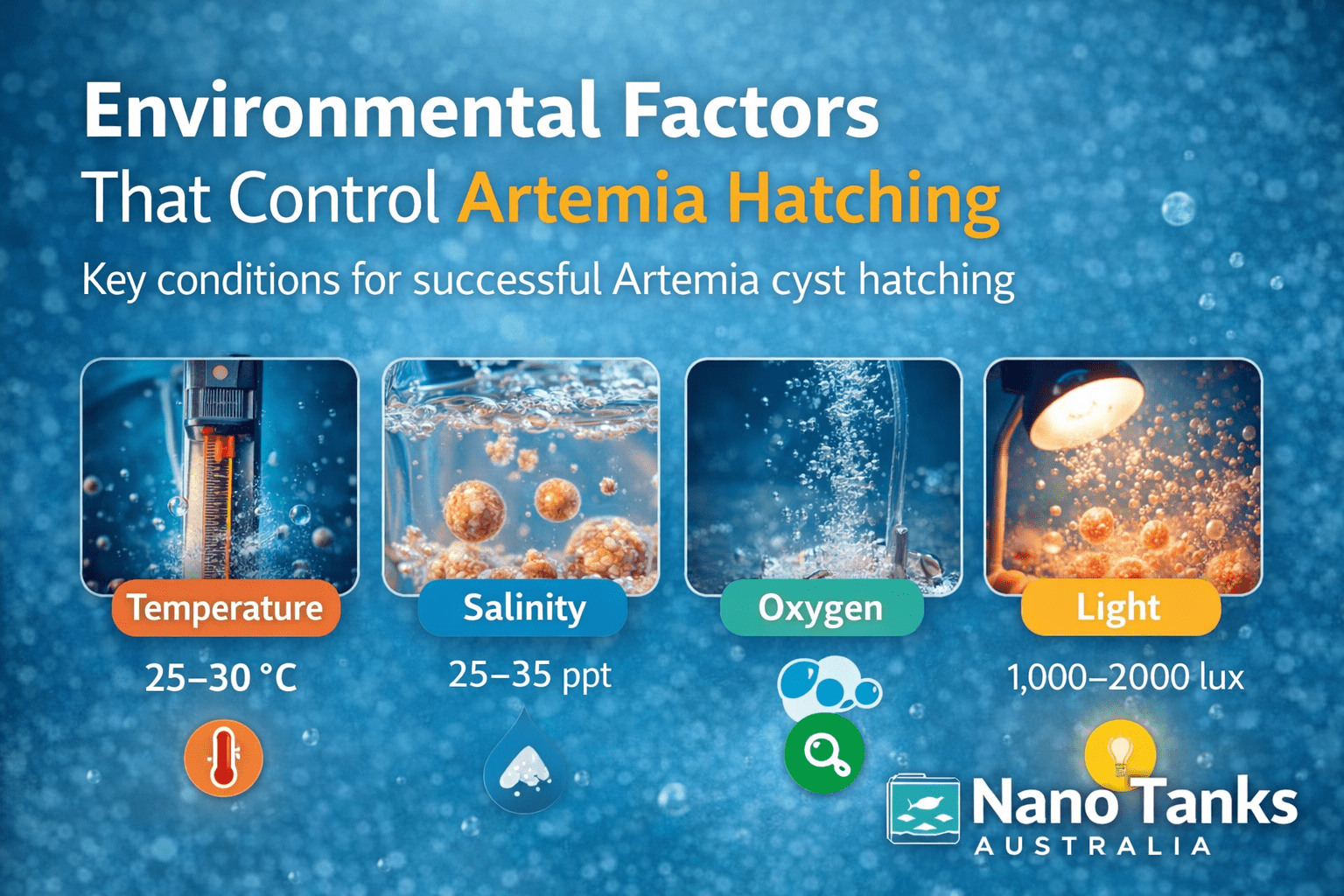 Environmental Factors That Control Artemia Hatching - Nano Tanks Australia