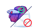 Safe Fish Guarantee - Nano Tanks Australia