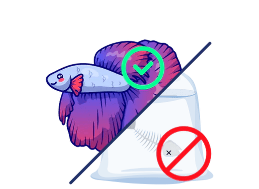 Safe Fish Guarantee - Nano Tanks Australia