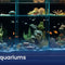 AQUARIUMS - Nano Tanks Australia Aquarium Shop