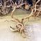 Aquascaping Rocks and Wood - Nano Tanks Australia Aquarium Shop