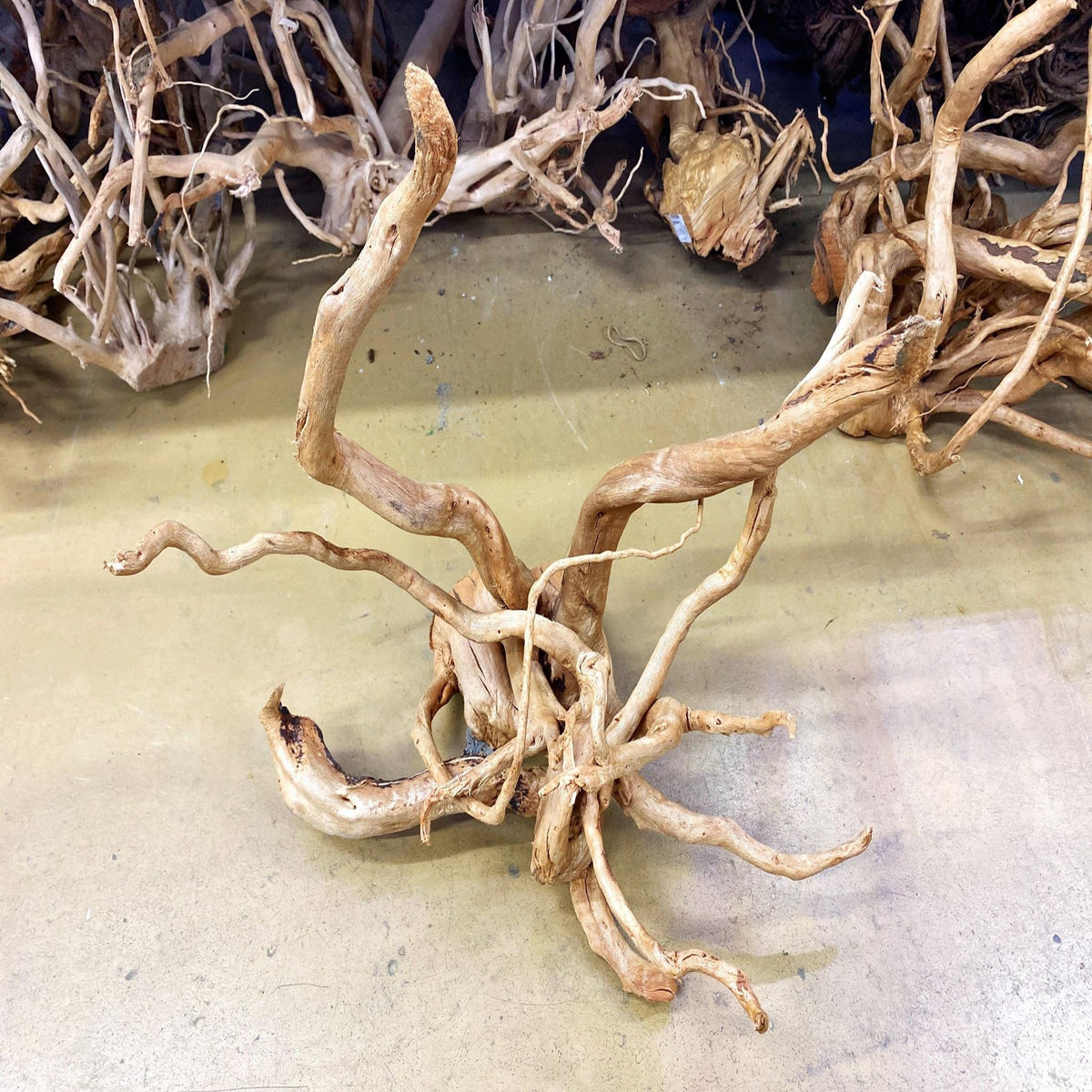 Aquascaping Rocks and Wood Nano Tanks Australia Aquarium Shop