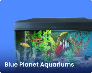 Blue Planet Aquariums - Nano Tanks Australia Aquarium Shop