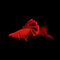 Livebearers (Platies, Swordtails, Mollies and etc) - Nano Tanks Australia