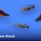 New Stock - Nano Tanks Australia Aquarium Shop