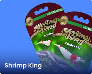 Shrimp King - Nano Tanks Australia Aquarium Shop