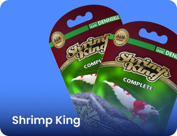 Shrimp King - Nano Tanks Australia Aquarium Shop