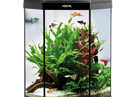 Aquael Hexa Set LT 60L Black Aquarium - Nano Tanks Australia