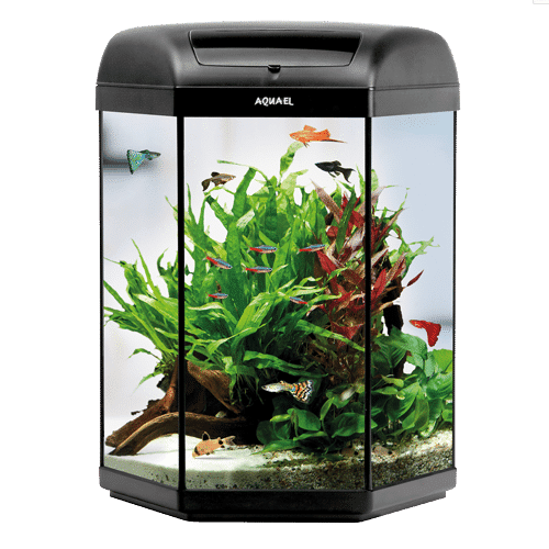 Aquael Hexa Set LT 60L Black Aquarium - Nano Tanks Australia