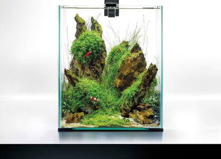 Aquael SHRIMP SET DAY & NIGHT 30 W/B 29x29x35cm 30L - Nano Tanks Australia