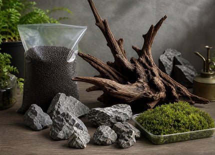 Aquascaping Foundation Kit