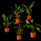 Assorted Crypts in Terracotta Pots - Nano Tanks Australia