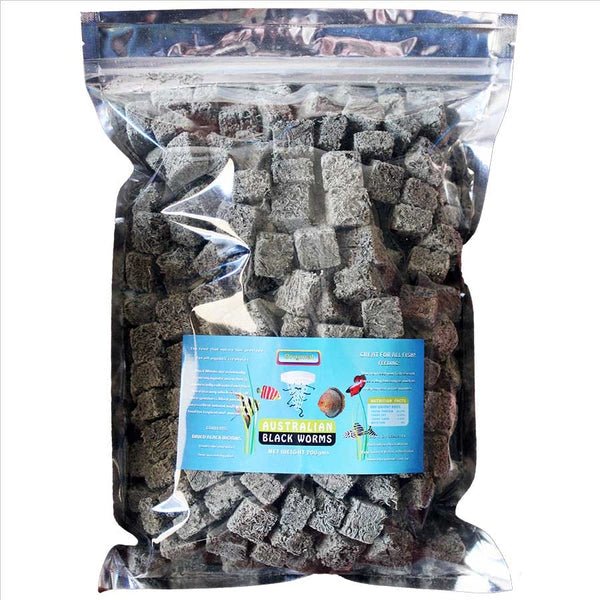 Australian Freeze-Dried Blackworms Cubes 200g Original - Nano Tanks Australia