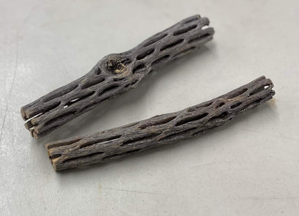 Cholla Wood 15cm - Nano Tanks Australia