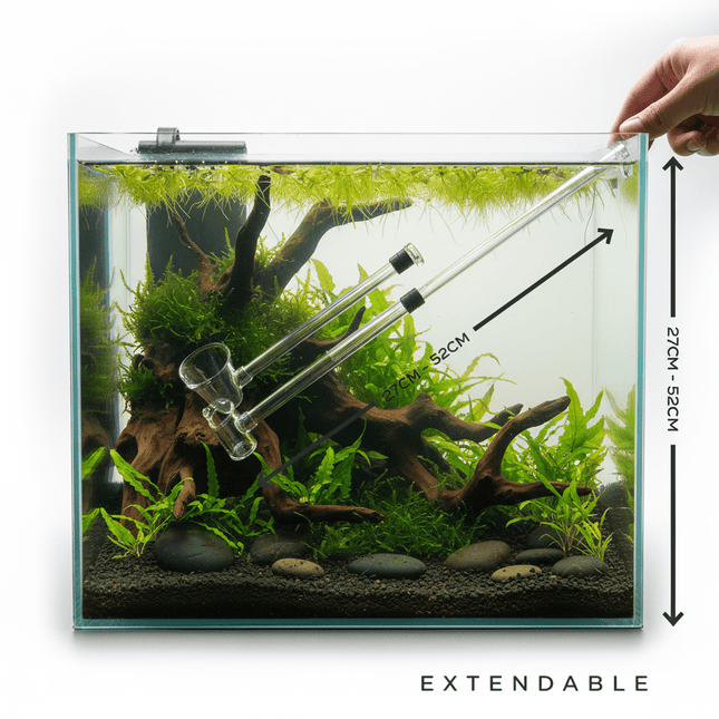 Dalua Fresh Shrimp Catcher (Small) - Nano Tanks Australia