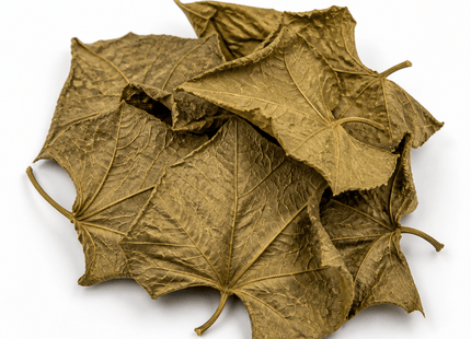Dried Choko Leaves - Great for shrimps and herbivores species - Nano Tanks Australia