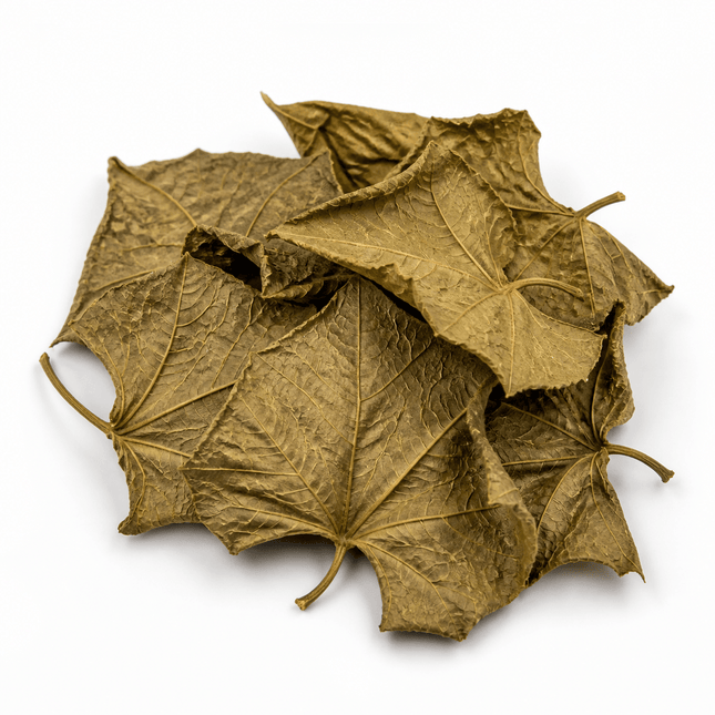 Dried Choko Leaves - Great for shrimps and herbivores species - Nano Tanks Australia