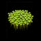 Duckweed (Lemna disperma) Starter Pack - Nano Tanks Australia