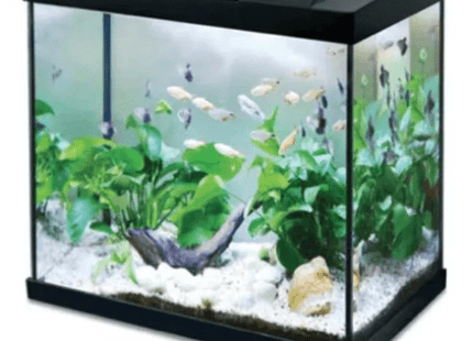 Hailea K45 45L Fish Tank Aquarium - Nano Tanks Australia Aquarium Shop