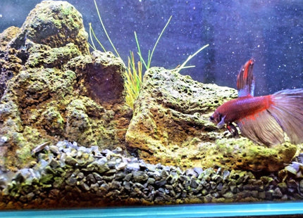 High Quality Black Lava Rock per kg - Nano Tanks Australia