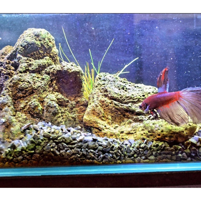 High Quality Black Lava Rock per kg - Nano Tanks Australia