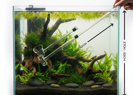 Dalua Fresh Shrimp Catcher (Large)