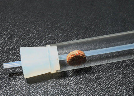JBL PlaCollect (Flatworm Trap) - Nano Tanks Australia Aquarium Shop