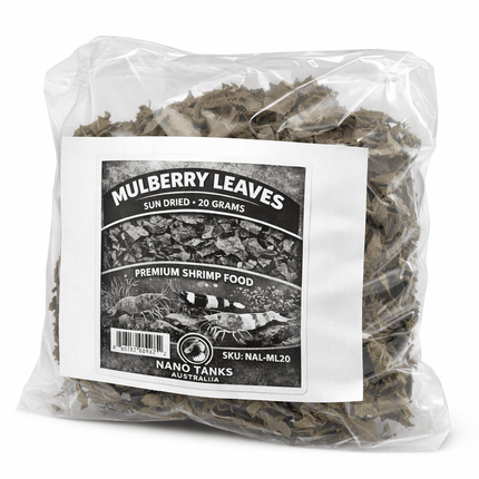 Mulberry Leaves (Sun - Dried) – 20g | Natural Shrimp & Snail Food - Nano Tanks Australia