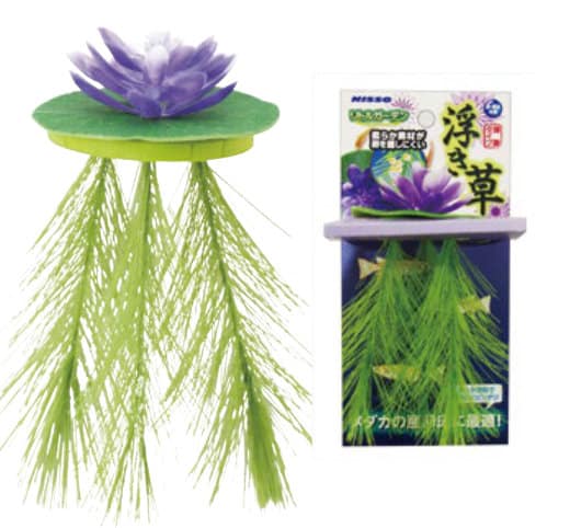 Nisso Floating Lily Purple (NAP - 521) - Nano Tanks Australia