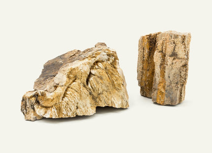Petrified Wood aquascaping stone sold per kilogram