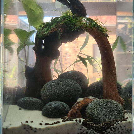 Ready Made Tank - Nano Tanks Australia