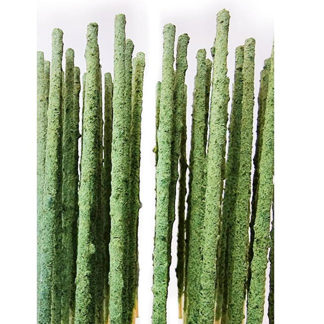 SAS Shrimp Green Pops - Pack of 10 - Nano Tanks Australia