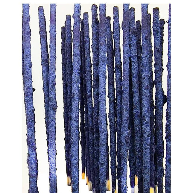 SAS Shrimp Purple Pops - Pack of 10 - Nano Tanks Australia