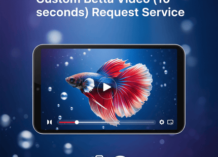 [SERVICE] Custom Betta Video (10 seconds) Request Service - Nano Tanks Australia
