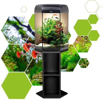 [SPECIAL ORDER] Aquael Hexa Set 60 Black Stand - Nano Tanks Australia