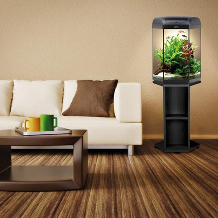 [SPECIAL ORDER] Aquael Hexa Set LT 60L Black Aquarium - Nano Tanks Australia