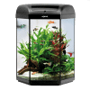 [SPECIAL ORDER] Aquael Hexa Set LT 60L Black Aquarium - Nano Tanks Australia