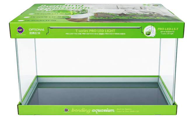 Up Aqua 🟢 Bending Aquarium – Green 36 × 22 × 26 cm - Nano Tanks Australia