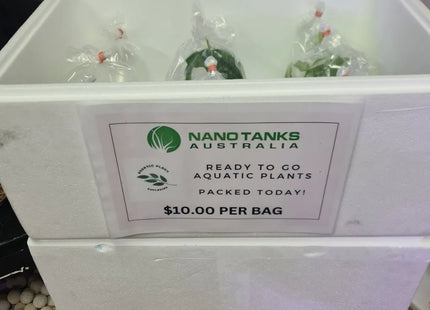 APE Assorted Aquatic Plants Packed Fresh Daily - Nano Tanks Australia Aquarium Shop