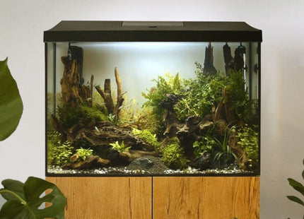Aquael Leddy 40 60 75 Aquarium Set DAY & NIGHT - WHITE or BLACK - Nano Tanks Australia Aquarium Shop